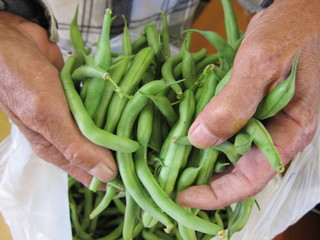 Hands with beans