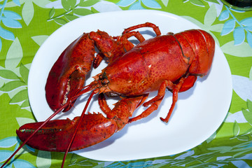 Prince Edward Island Lobster - Canada