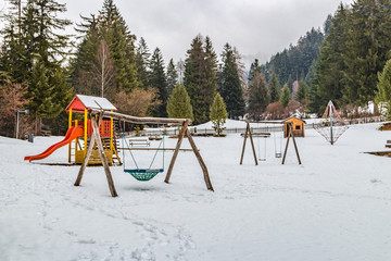 forests of pine and fir trees in the Dolomites