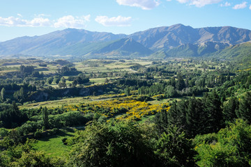 Fototapeta premium View on Speargrass Flat (1)