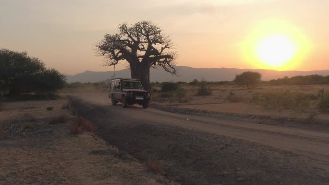 AERIAL: Safari jeep game driving in vast African savannah plains at sunset