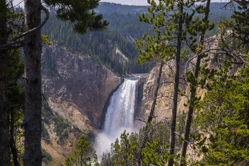 Yellowstone National Park - lower falls