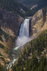 Yellowstone National Park - lower falls