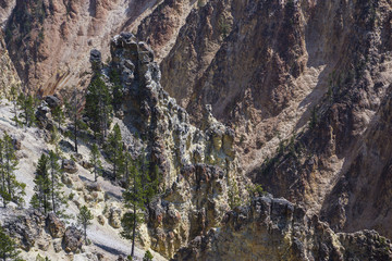 Yellowstone National Park - lower falls