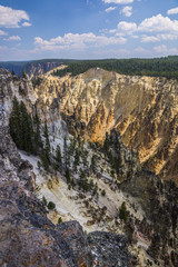 Yellowstone National Park - lower falls