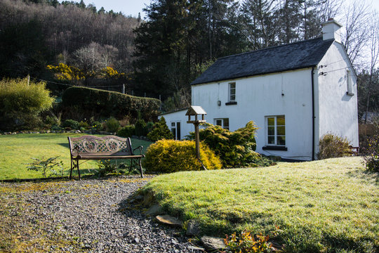 Irish Countryside