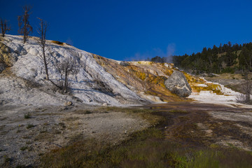 Yellowstone National Park - Mammoth Hot Springs