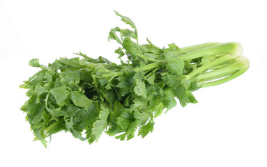 celery isolated on white background