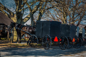 Old Order Amish buggies  tied to post