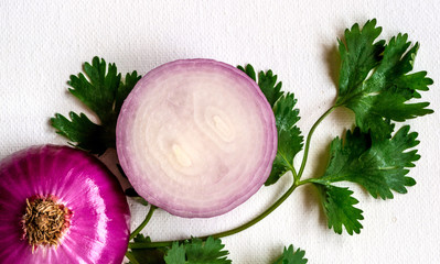 Onion Slices dressed with coriander leaves, white background, top view