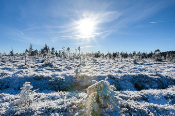 Winterlandschaft Deutschland