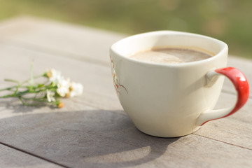coffee,drink,background