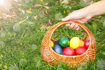 Female hand holding basket with Easter eggs on green grass