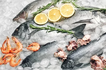 Washable wall murals Fish Frozen fish and seafood on ice