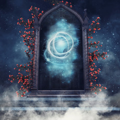 Magiczny portal z różami na tle nocnego nieba - obrazy, fototapety, plakaty