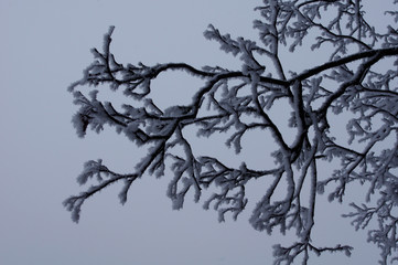 Décembre en Bretagne