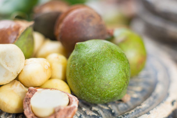 Macadamia nuts with shell - tasty expensive fat nuts