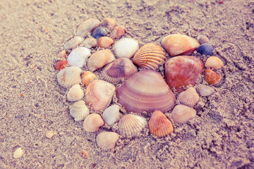 Group of shell on sand in heart shape.