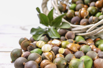 Macadamia nuts with shell - tasty expensive fat nuts