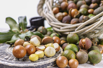 Macadamia nuts with shell - tasty expensive fat nuts