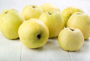 Ripe Antonovka apples