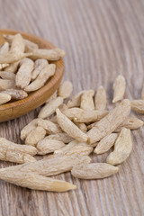 Ophiopogon japonicus, book with grass, Ophiopogon, Liriope, Liliaceae perennial evergreen herbs of Ophiopogon japonicus