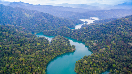 Naklejka na ściany i meble the biggest rainforest national park in Thailand
