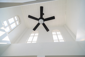 Luxury Ceiling Fan
