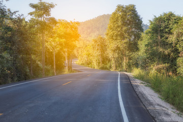 Fototapeta premium The road curve through forest.