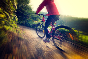 Naklejka premium riding mountain bike on sunrise forest trial