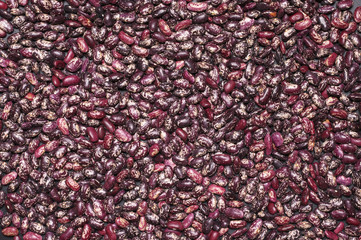 Purple speckled kidney beans