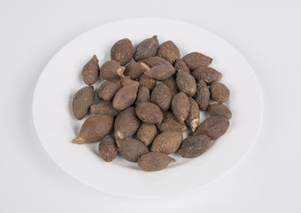 Sterculia lychnophora hance is a species of tree in the genus sterculia, a medicinal herb