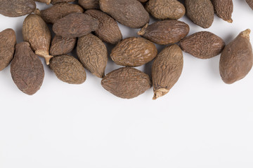 Sterculia lychnophora hance is a species of tree in the genus sterculia, a medicinal herb