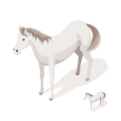Isometric 3d vector illustration of horse