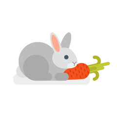 Vector flat style illustration of rabbit 