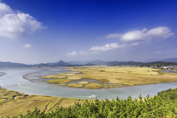 Fototapeta na wymiar Suncheon bay Ecological Park.