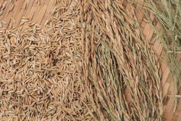 Jasmine rice brown