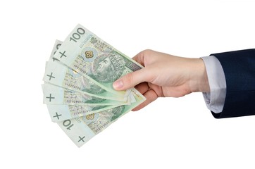Range of Polish banknotes in hand