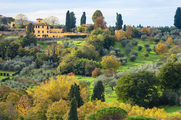 green and yellow gardens in Florence neighborhood