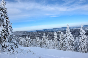 Winter mountain landscape