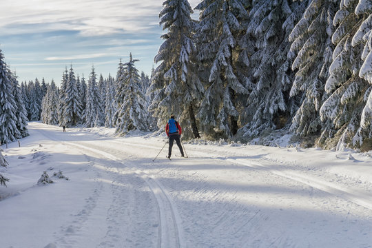 Road in mountains at winter in sunny day with cross-country skier. Trees covered with hoarfrost illuminated by the sun. Groomed ski trails for cross-country in Karkonosze, Giant Mountains, Poland