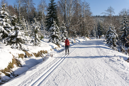 Single cross-country female skier running a groomed ski trail. Road in mountains at winter in sunny day. Trees covered with hoarfrost illuminated by the sun. Jizera Mountains, Czech Republic