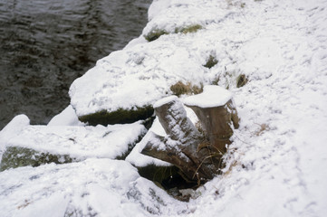 Tree stump in snowy ground next to water