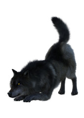 3D Rendering Black Wolf on White
