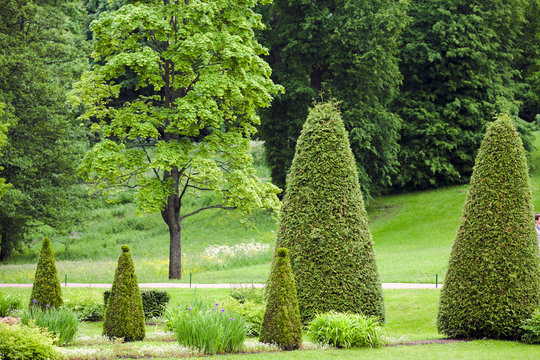 spring Park with lawn with conical junipers
