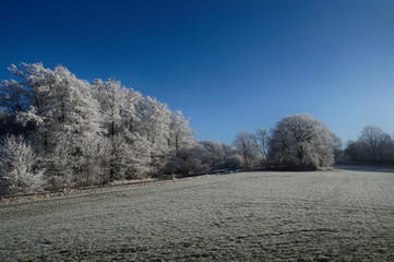 Winter world