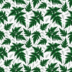 Seamless fern pattern