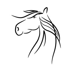 sketched horse as a logo