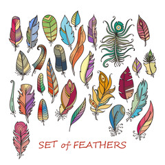 Ornate Set of Stylized and Abstract Feathers.