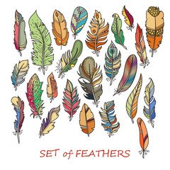 Ornate Set of Stylized and Abstract Feathers.